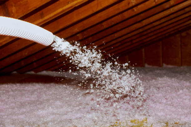 Best Insulation Repair Services  in Lannon, WI