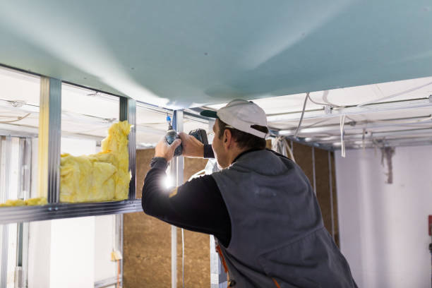 Best Commercial Insulation Contractor  in Lannon, WI