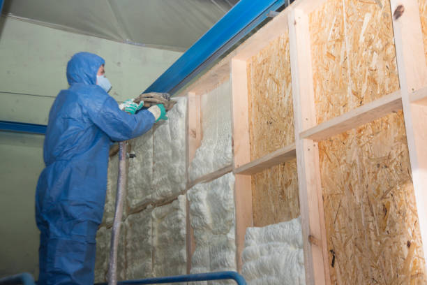 Best Insulation Contractor Near Me  in Lannon, WI